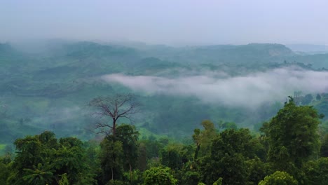 Looking-down-into-a-beautiful-green-moody,-and-foggy-valley-with-forest-in-the-foreground-in-Bandarban,-Bangladesh