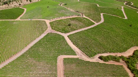Rising-aerial-shot-of-the-geometric-vineyards-and-tracks-in-the-Maule-Valley,-Chile