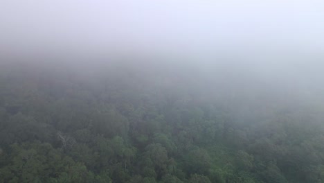 Drone-Volando-Hacia-Las-Nubes-Sobre-La-Vasta-Selva-Tropical-Paisaje-De-La-Selva-Textura-De-Fondo-Clima-Nublado-En-La-Isla-De-Sumbawa,-Indonesia