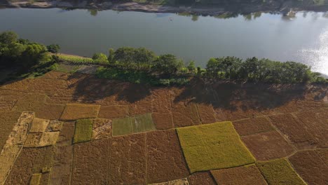Volando-Sobre-Tierras-De-Cultivo-En-Bangladesh-Cruzando-El-Río-Surma