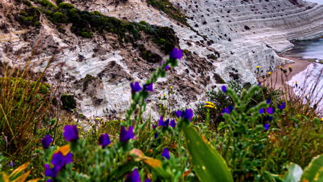 Spring-flowers-bloom-at-the-Stairs-of-the-Turks-overlook-on-Sicily,-Italy---time-lapse