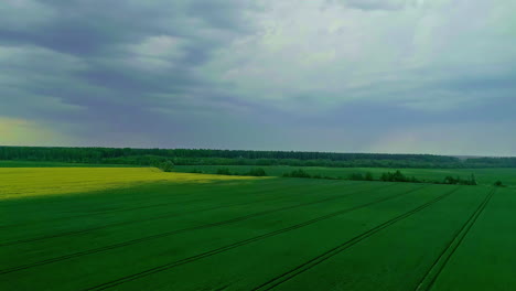 Green-agriculture-fields-with-moody-sky-above,-aerial-view