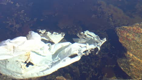 Person's-hand-removing-torn-plastic-bag-polluting-Norway-fjord
