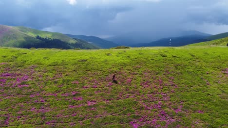 Discover-the-stunning-spring-scenery-of-Bucegi-Mountains-from-above-with-this-mesmerizing-drone-footage