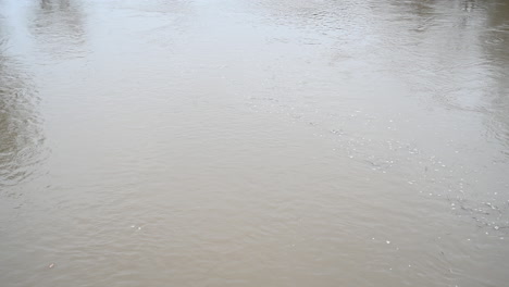 Inundación-Del-Río-En-Las-Llanuras-Aluviales-En-Europa