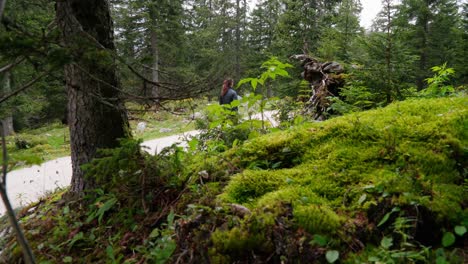Hiking-throw-green-forest-near-königssee-on-a-moody-day