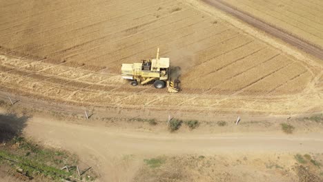 Drone-Aéreo-Después-De-Disparar-Sobre-Una-Granja-Agrícola-Amarilla-Cosechadora-Ocupada-Cosechando-Trigo-En-Un-Campo-De-Trigo-Industrial-En-Un-Día-Soleado