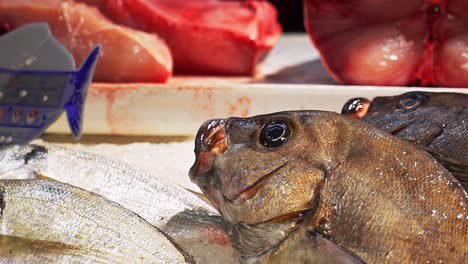 Close-Up-Shot-Of-Fresh-Fish-In-Fish-Market-In-Barbate-Port,-Cadiz,-Spain