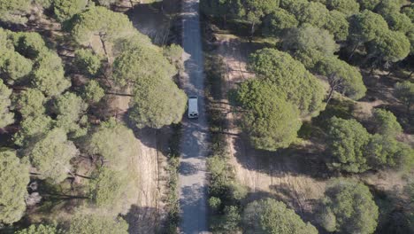 Aerial-view-following-motorhome-driving-through-woodland-wilderness-on-road-trip-in-Spanish-countryside
