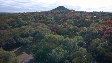 Ein-Hügel-Im-Texanischen-Hügelland-Blickt-Auf-Das-Tal-Der-Zedernbäume,-Während-Die-Umliegenden-Blätter-Im-Herbst-Warme-Farben-Annehmen