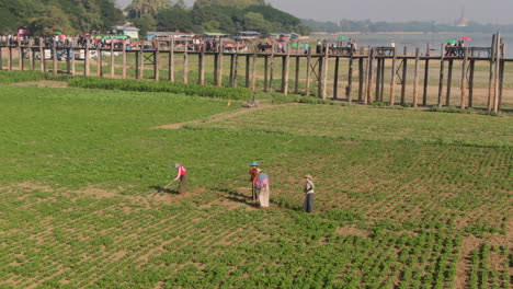 Trabajadores-De-Campo-En-Ropa-Tradicional-Cerca-Del-Puente-U-bein,-Mandalay,-Myanmar
