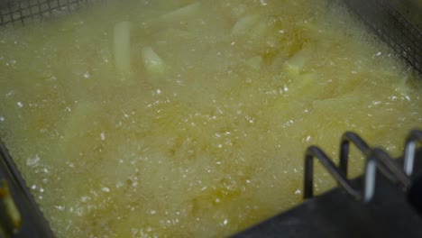 Tasty-French-Fries-Are-Cooking-Into-Deep-Fryer-At-Kitchen
