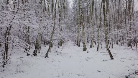 drop-in-temperature-snowfall-storm-concept-POV-walking-alone-in-winter-forest-white-landscape