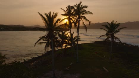 Meereslandschaft-Der-Goldenen-Stunde,-Luftaufnahmen-An-Einem-Strand-Hinter-Hohen-Palmen,-Sonnenuntergang