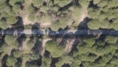 Aerial-rising-view-Birdseye-above-motorhome-driving-on-long-woodland-road-trip-in-rural-countryside,-Spain