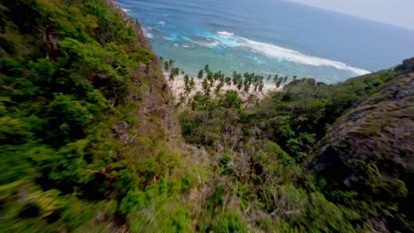 Aerial-drone,-fast-fpv-dive-through-Dominican-jungle-palm-trees,-establish-ocean