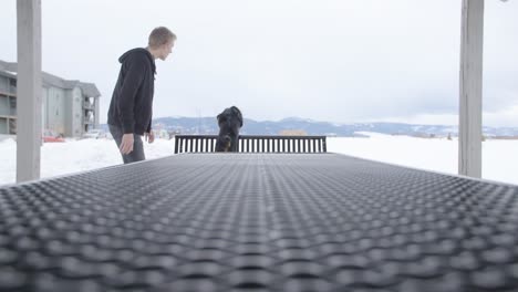 Dog-Jumping-Over-Bench-in-Slow-Motion,-4k