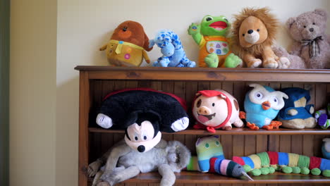 Bookshelf-with-teddies-and-various-stuffed-toys