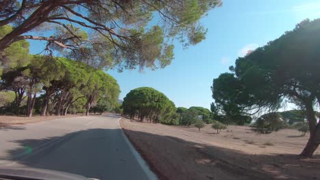 Driving-on-country-road-through-Strofilia-forest-in-Peloponnese-South-Western-Greece,-approaching-Kalogria-Beach