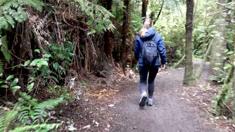 Una-Mujer-Caminando-Por-Un-Sendero-En-Un-Bosque-De-Nueva-Zelanda-Rodeada-De-Helechos-Y-árboles-Con-Un-Traje-Azul