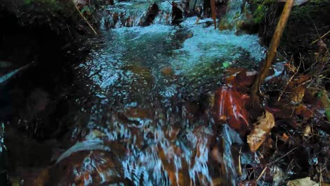 SLOW-MOTION-close-up-tilting-down-past-small-waterfall-in-a-forest-stream