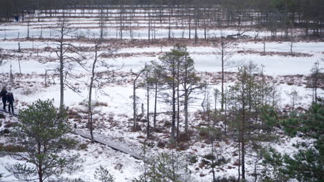 View-of-Viru-bog-from-Observation-tower-in-winter