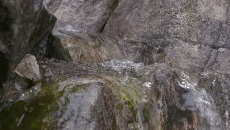 Mountain-stream-close-up.-Slow-motion