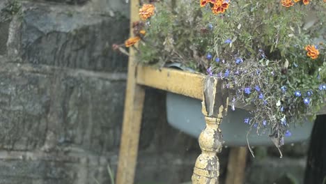 Blumenarrangement-Auf-Einem-Stuhl