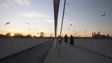 Una-Bandada-De-Pájaros-Volando-En-Cámara-Lenta-Sobre-El-Hoge-Brug,-Que-Es-Un-Puente-Para-Peatones-Y-Ciclistas-Que-Cruza-El-Mosa-En-Maastricht