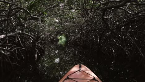 Kayaking-through-the-mangroves-of-Lac-Bay,-Bonaire