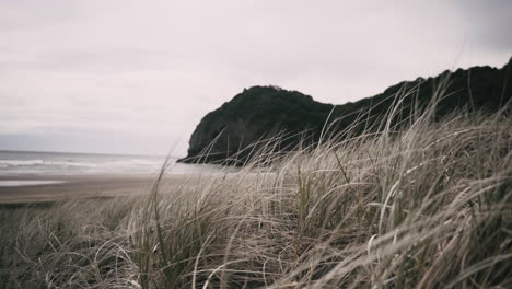 Moody-mist-passes-over-north-Piha-beach-behind-the-sand-dunes-as-the-wind-howls-and-the-waves-crash