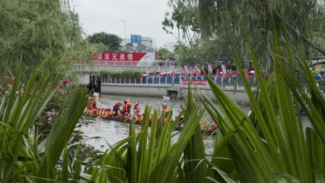 Blick-Auf-Chinesen,-Die-Während-Des-Drachenbootfestivals-In-Der-Innenstadt-Von-Guangzhou-Hinter-Den-Grünen-Pflanzen-Auf-Drachenbooten-Paddeln-Und-Trommeln-Schlagen,-Guangdong,-China