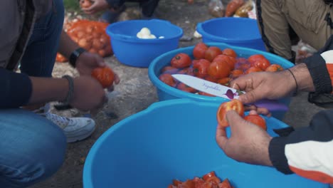 Refugees-cutting-preparing-large-amounts-of-vegetables-for-communal-cooking-and-eating-Moria-refugee-camp-olive-grove-jungle