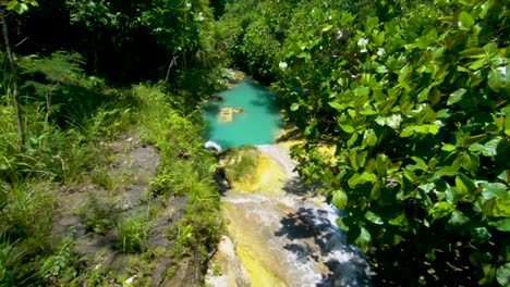 Beautiful-crystal-blue-water-flowing-through-tropical-lush-jungle-in-Candijay,-Bohol,-Philippines