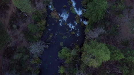 Drone-following-river-from-top-down-view-to-reveal-Burney-Falls-waterfall-and-tree-tops-in-Lassen-County-in-Northern-California-at-sunset
