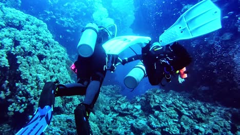 A-diver-without-air-led-by-the-dive-instructor