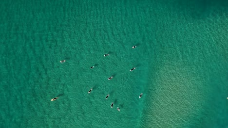 A-high-view-of-surfers-sitting-in-the-clear-ocean-water-waiting-to-ride-the-waves