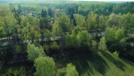 Drohnenperspektive-Einer-Wohnsiedlung-In-Den-Vororten,-Umgeben-Von-Wald
