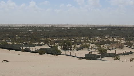 Sand-dune-invading-the-land