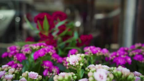 Traveling-along-colorful-flowers-pot-with-blur-in-slow-motion-and-tilt-transition