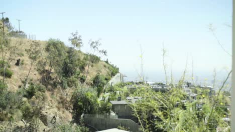 Hollywood-Hills-in-medium