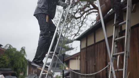 Toyo,-Japan---A-man-is-climbing-into-a-ladder-to-trim-overgrown-Japanese-pine-tree-along-the-residential-road---follow-up-shot