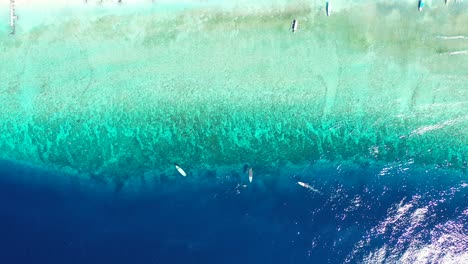 Maldives-Beach-Showing-Boats-Sailing-Across-The-Clear-Deep-Blue-And-Green-Ocean-Waters---Aerial-Shhot
