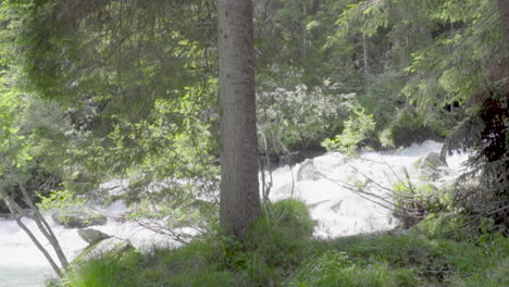 Small-waterfall-and-stream-in-the-italian-Alps-forest-in-summer,-slow-motion-100-fps