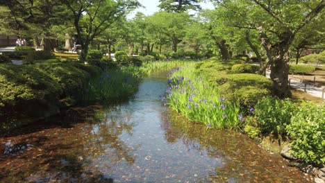 Seerosen-In-Einem-Teich-Mit-Spiegelungen,-Gelegen-Im-Japanischen-Park-Kenroku-en-In-Der-Stadt-Kanazawa