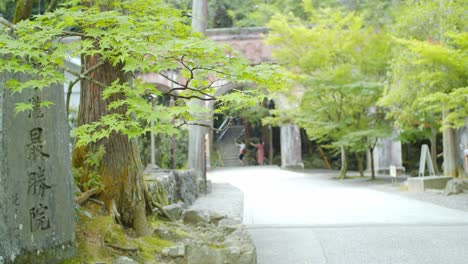 Talla-De-Piedra-Sentada-Junto-A-Un-árbol-Frente-A-Un-Puente-De-Ladrillo-Con-Turistas-Tomando-Fotos-En-Kyoto,-Japón-Iluminación-Suave-Cámara-Lenta-4k