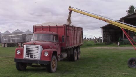 SloMo-Dried-barley-being-auger-out-of-a-bin-into-a-waiting-farm-truck