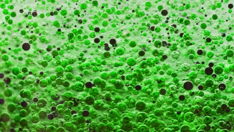 Makroaufnahme-Vieler-Grüner-Und-Dunkler-Blasen,-Die-Langsam-Im-Wasser-Auf-Den-Boden-Fallen