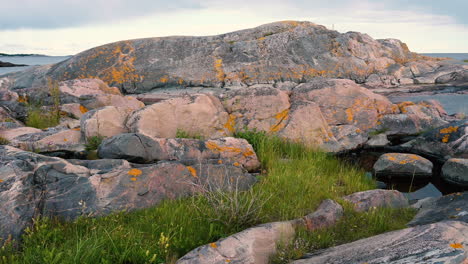 Wunderschöne-Natur-Auf-Der-Insel-Im-Sommer-Mit-Grünem-Gras-Und-Roten-Moosen-Auf-Den-Felsen-Und-Sanftem-Wind,-Der-Auf-Dem-Wasser-In-Schweden-Weht