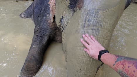 Ein-Wunderschönes-Erlebnis-Aus-Erster-Hand-Mit-Einem-Thailändischen-Elefanten-In-Einem-Schlammbecken-–-Weitwinkelzug